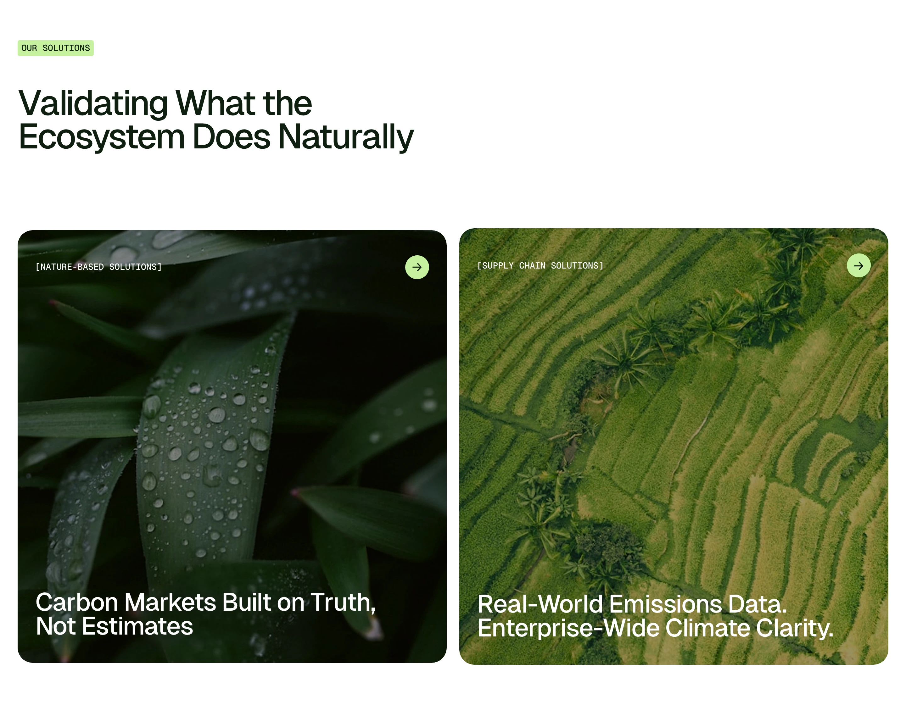Crisp climate-tech solutions section featuring lush macro and aerial nature photography cards paired with precise typography.