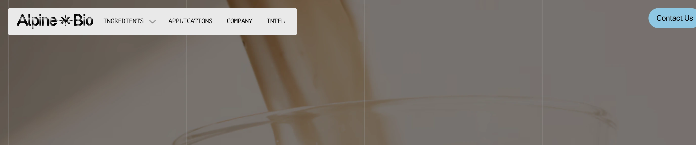 A floating white capsule navigation bar hovering cleanly over a warm, atmospheric photography background.