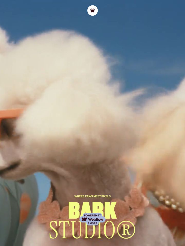 bark-studio-dev-webflow-io homepage