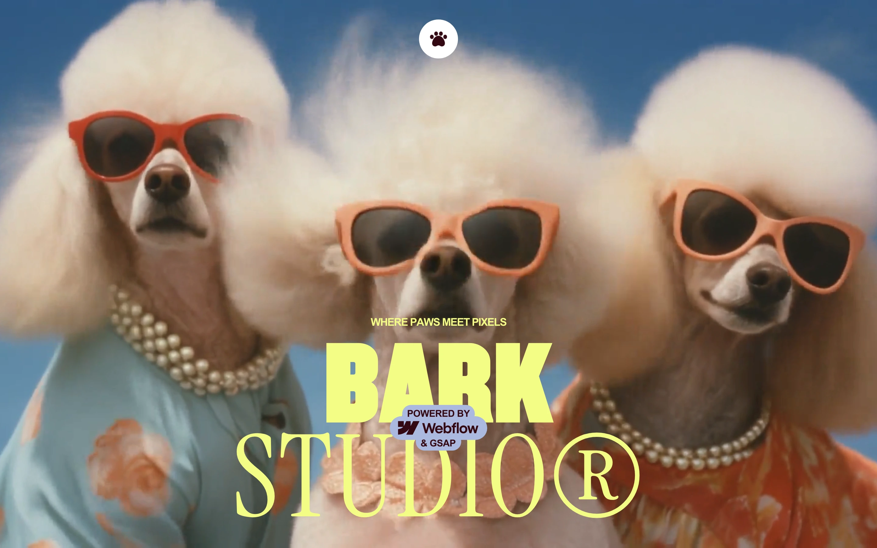 Quirky, glamorous kitsch hero featuring costumed poodles in sunglasses layered beneath bold, contrasting display typography.