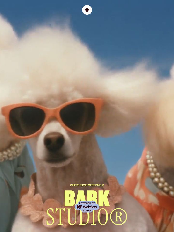whimsical, as seen on Bark Studio®