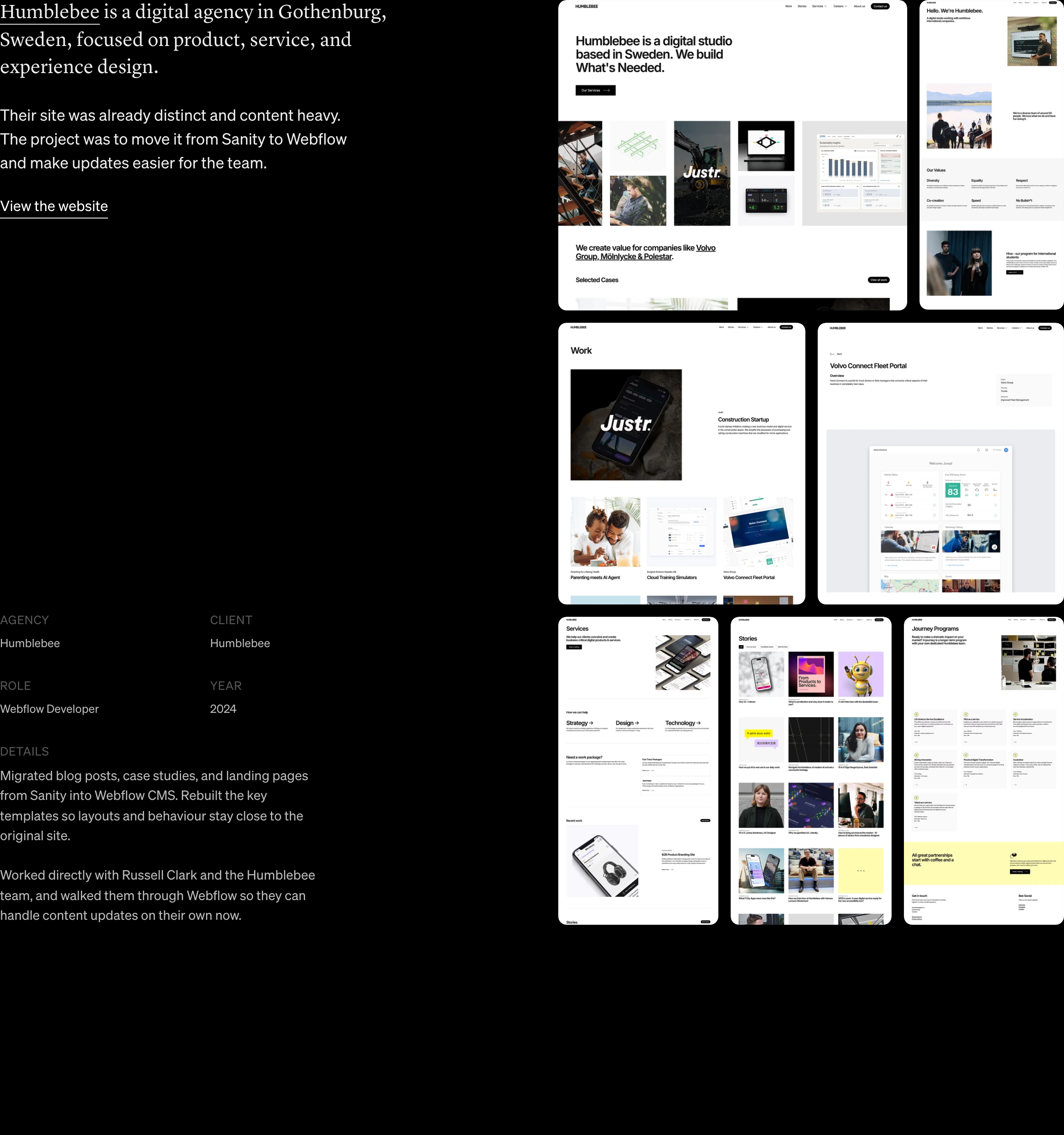 Quiet editorial portfolio item pairing dark structured project metadata with a dense grid of web page screenshots.