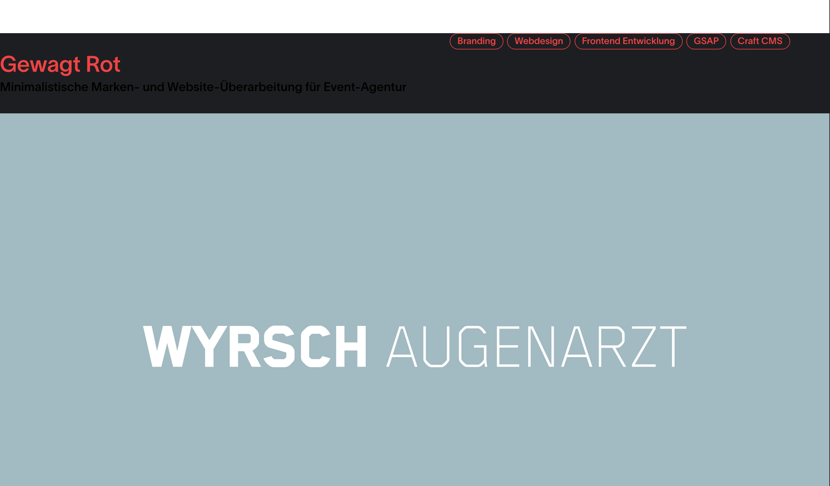 A restrained portfolio showcase featuring muted slate tones, precise pill tags, and clean typographic framing.