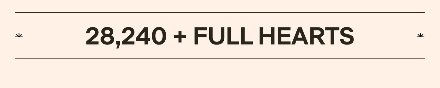 A warm, restrained statistical statement framed by delicate rules and subtle decorative glyphs.