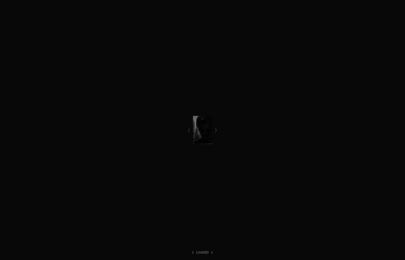 An ultra-minimal, cavernous dark screen centering a tiny monochrome image portal framed by subtle typographic parentheses.