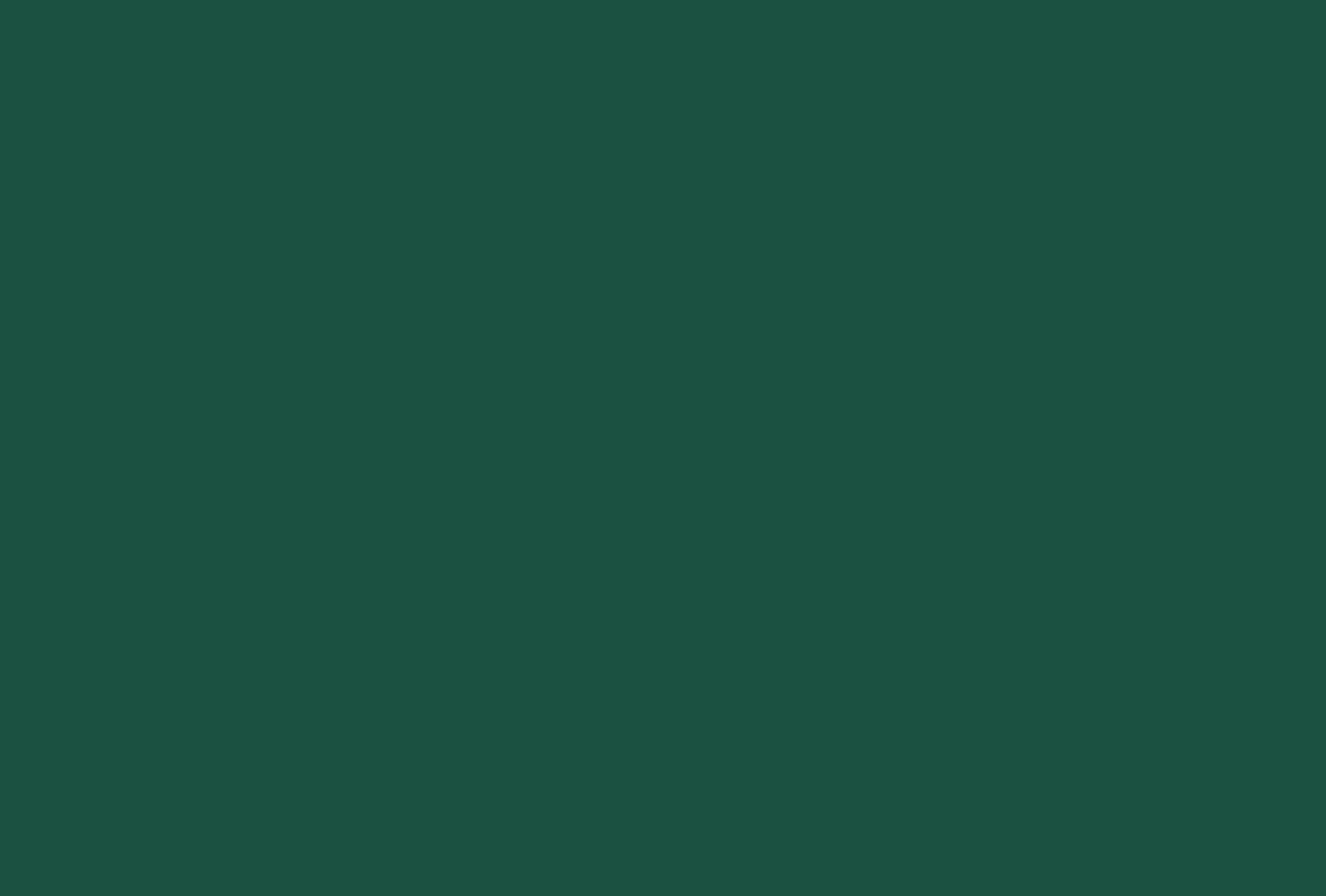 An entirely blank, deep forest green expanse serving as a calm full-bleed atmospheric transition.
