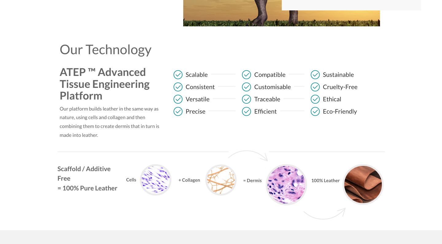 Clean, scientific bio-tech explainer combining a structured feature checklist with a circular microscopic process diagram.