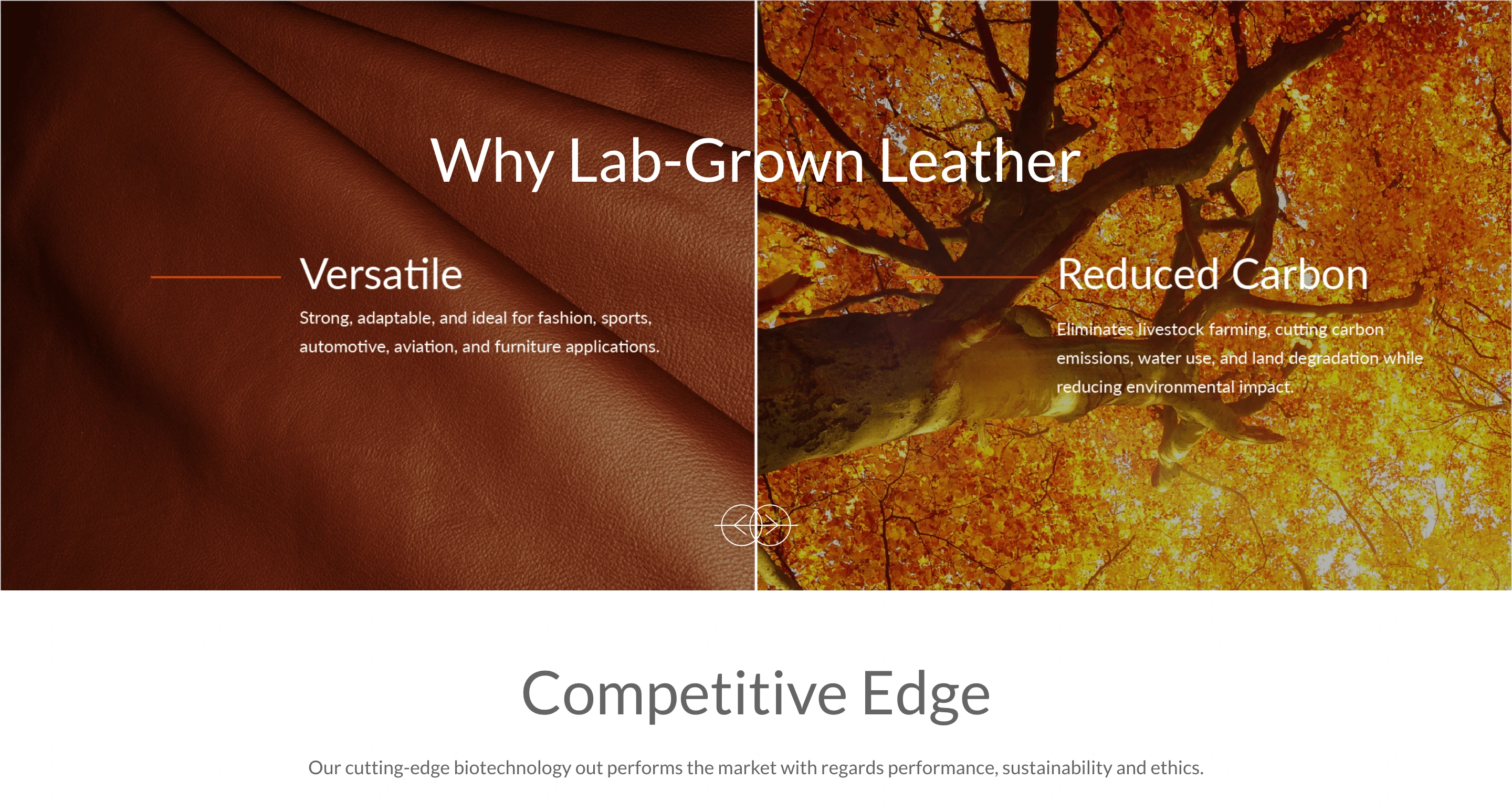 Grounded and earthy split-image feature comparing leather material craft with ecological benefits under a warm autumnal palette.