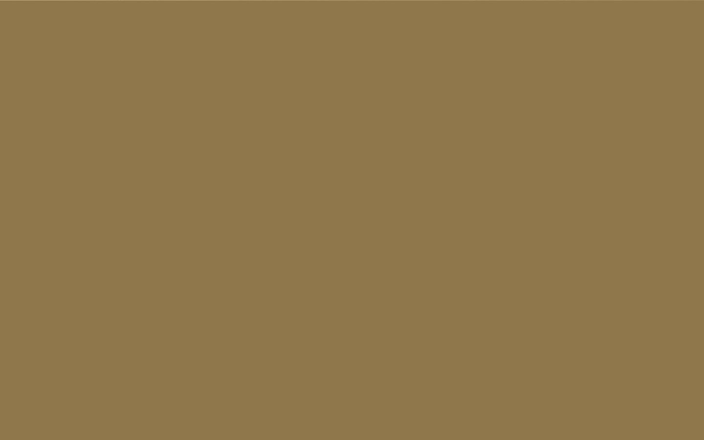 A completely blank, quiet field of warm ochre tone acting as an austere visual pause.