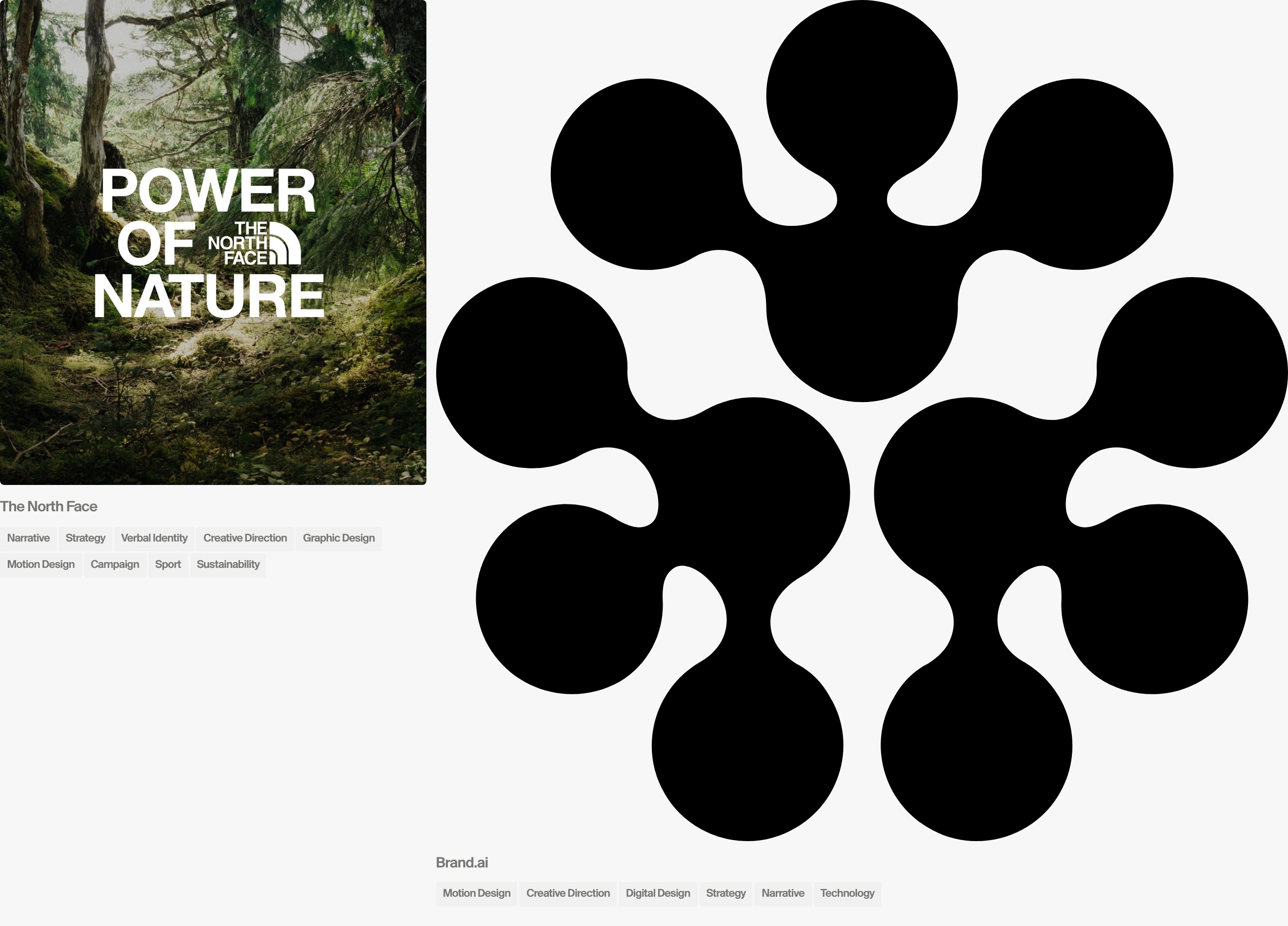 Airy portfolio layout pairing a dense editorial photo card against a massive black organic glyph with disciplined Swiss metadata.
