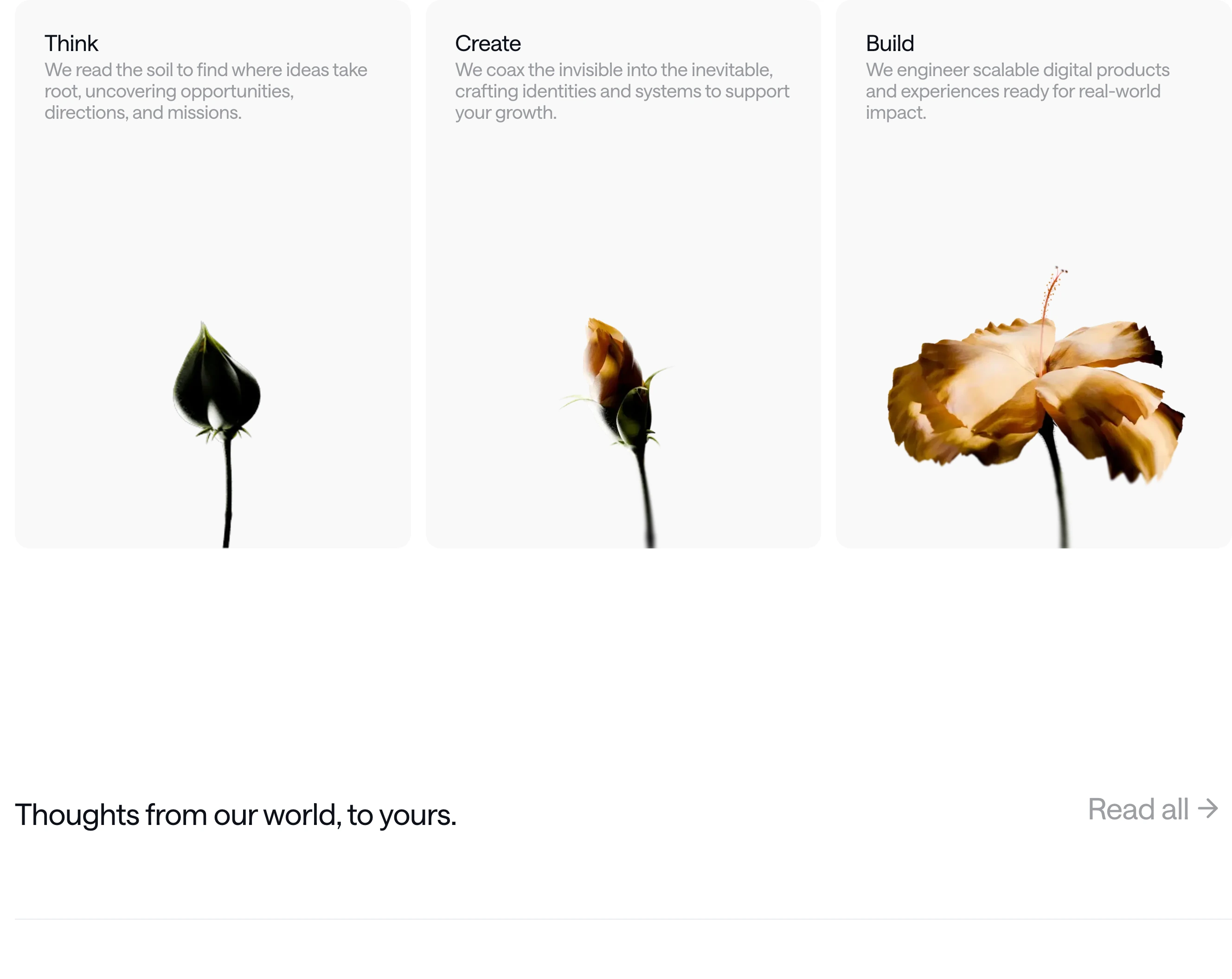 Quiet, airy cards pairing minimalist typography with delicate botanical imagery that traces sequential stages of growth.
