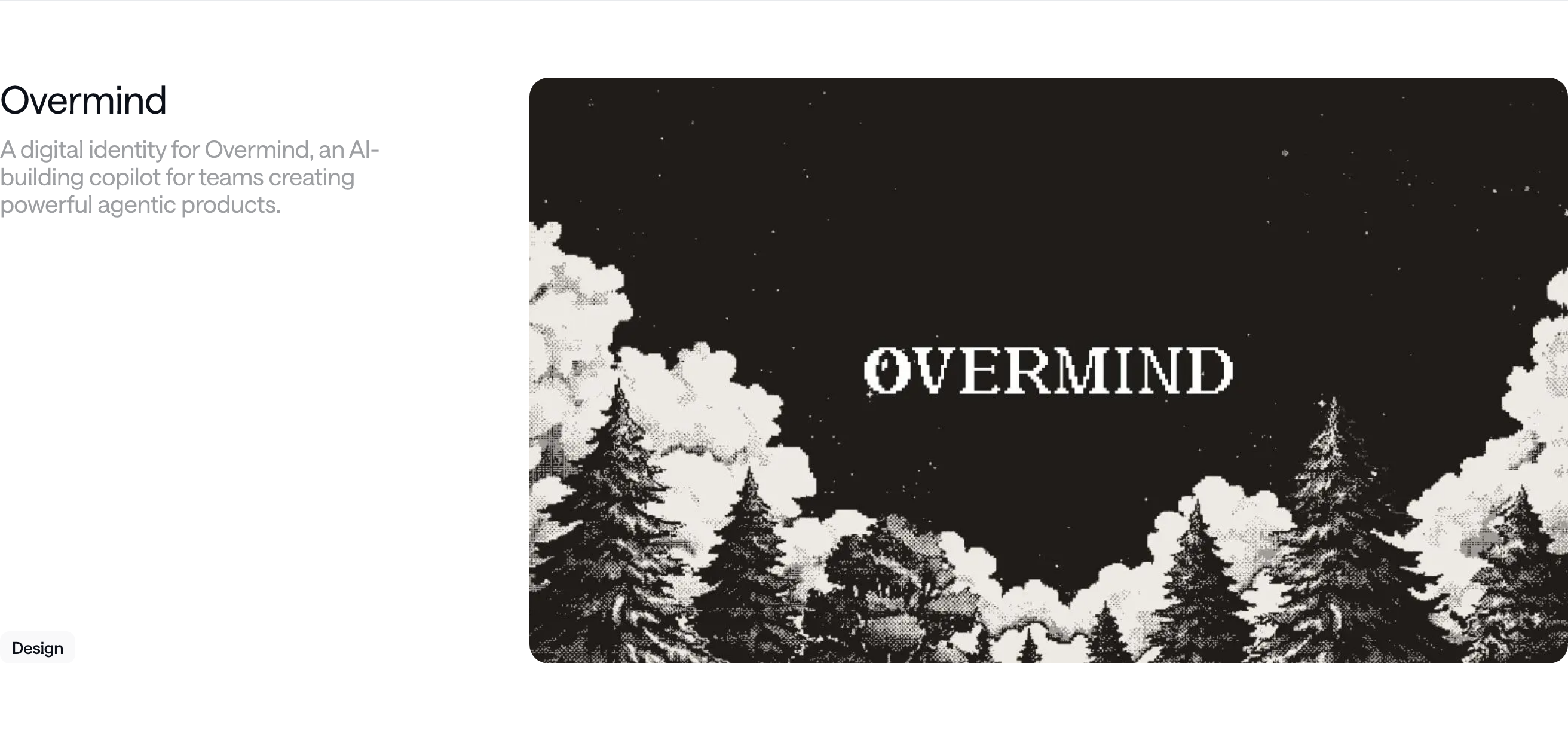 Quiet case study section balancing restrained sans-serif project metadata with a textured, dithered nightscape illustration.