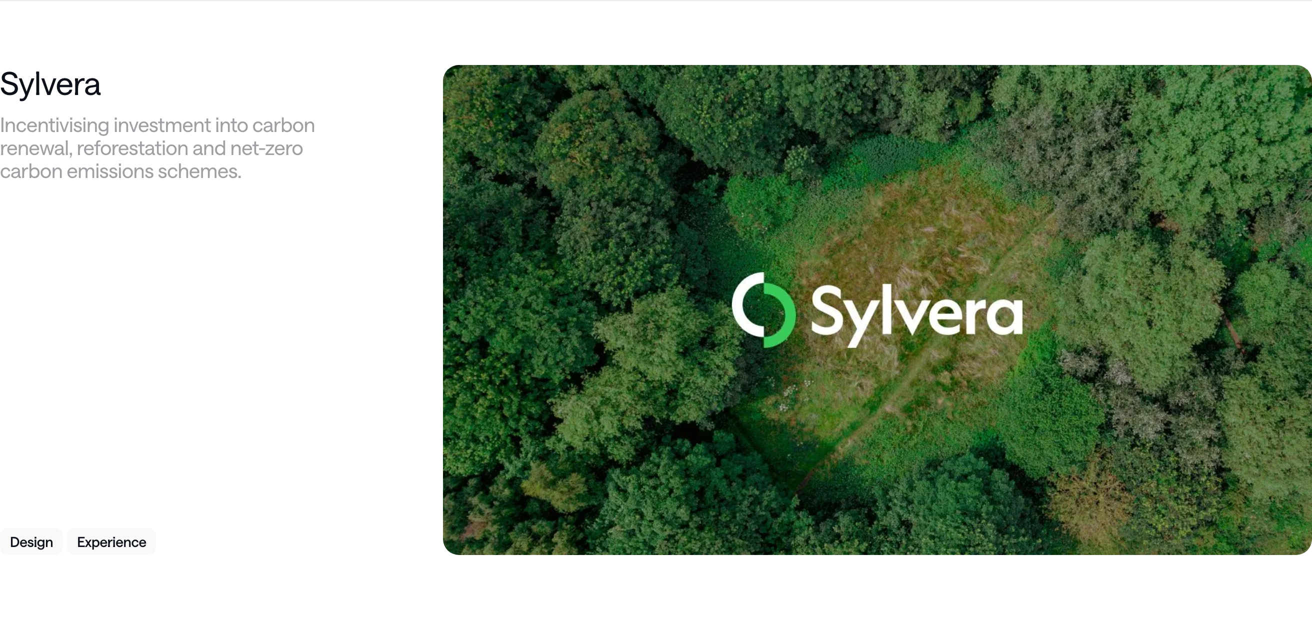 Clean and serene portfolio feature pairing restrained typographic metadata with a lush aerial nature media card.