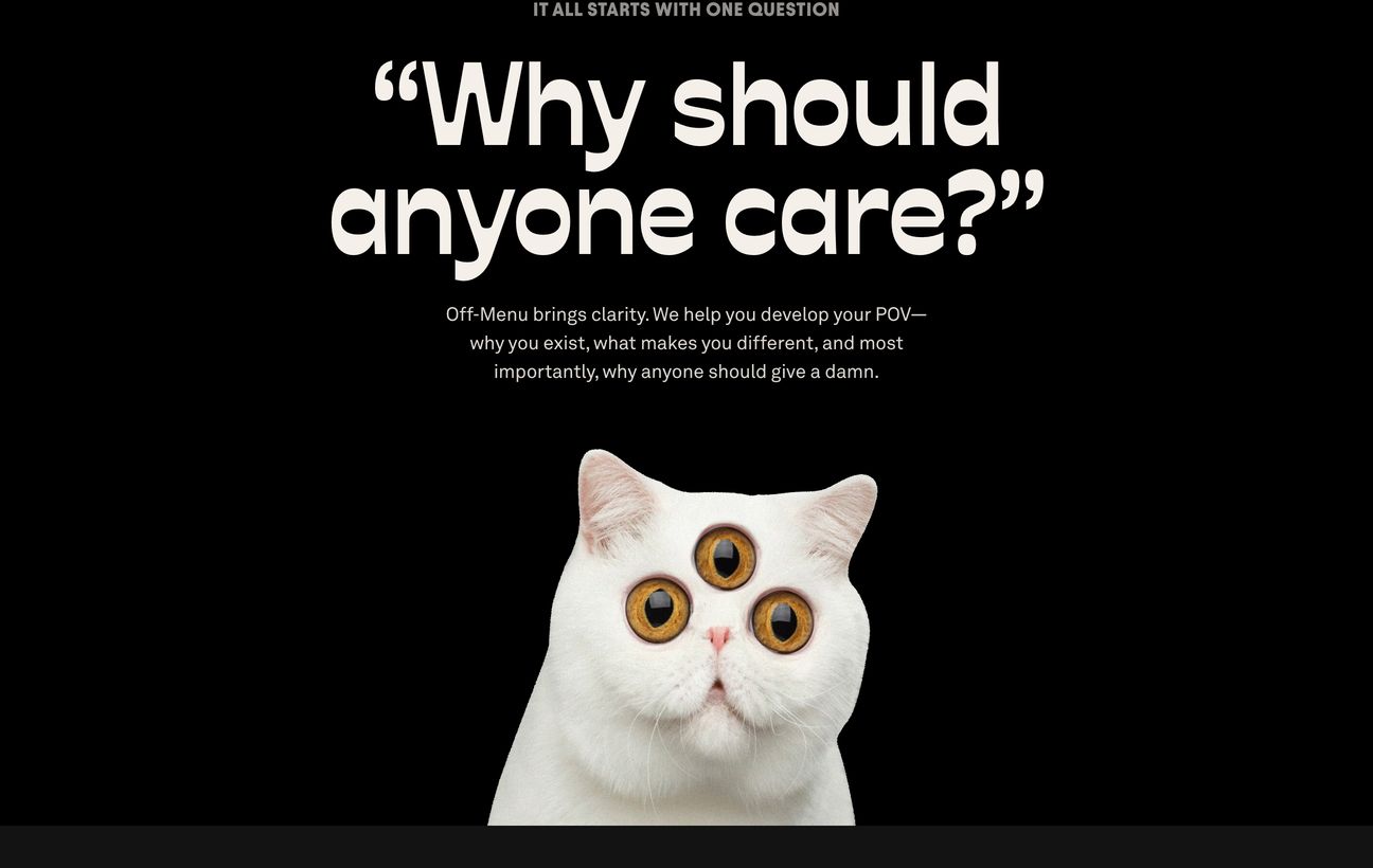 Surreal and stark statement section pairing an oversized existential headline with a humorous three-eyed white cat against pitch black.