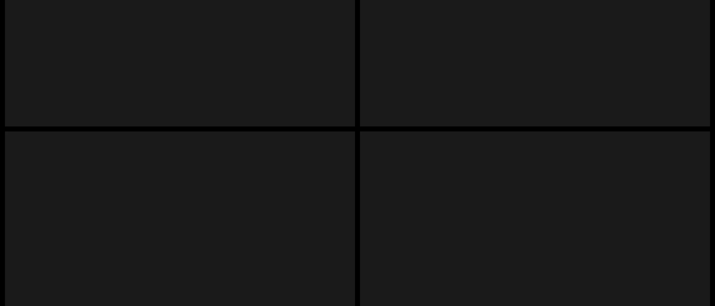 A stark, minimalist four-quadrant dark grid creating a clinical, subdued gallery framework.