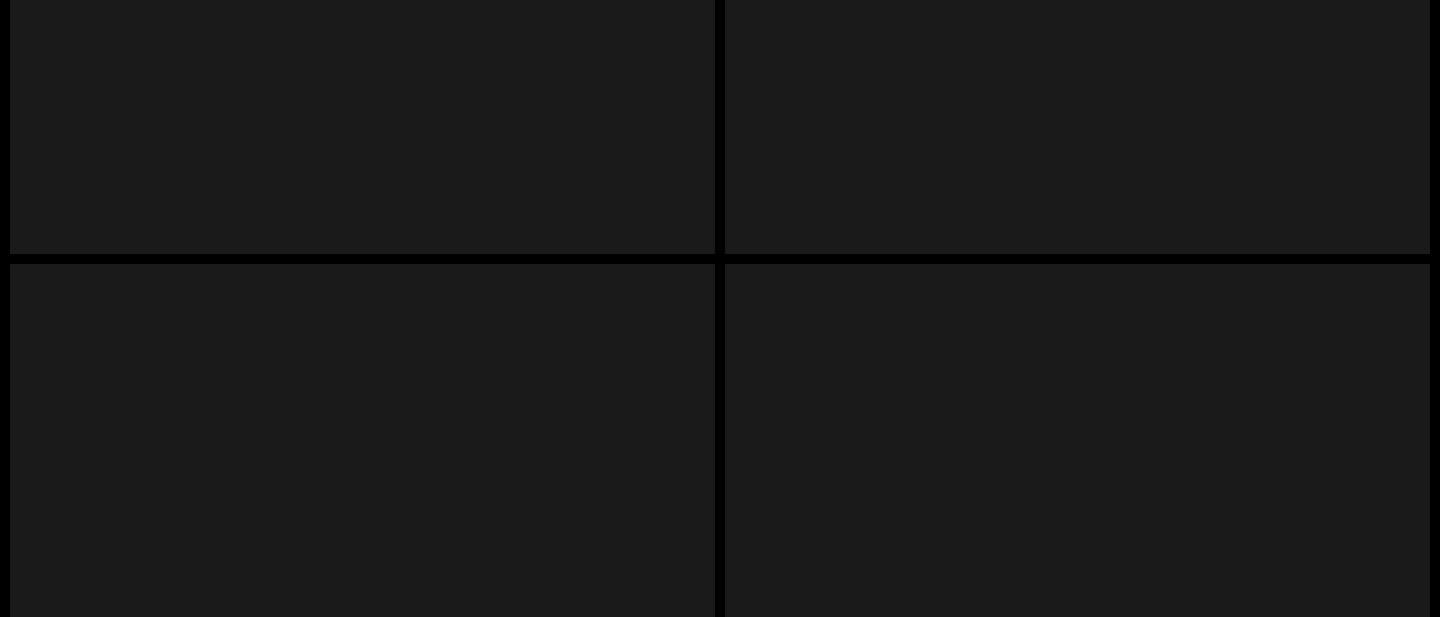 A stark, minimalist 2x2 grid partitioned by fine dark borders, giving an understated and disciplined gallery framework.