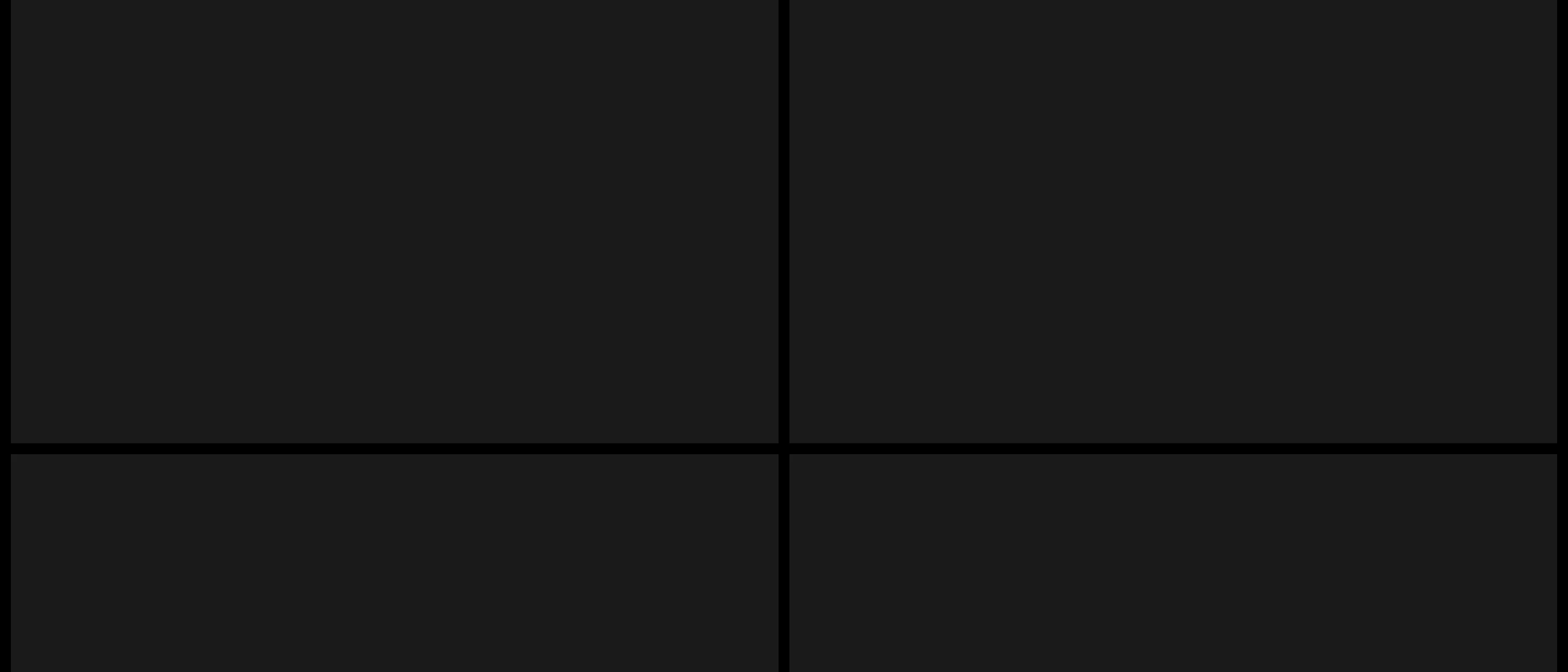 An austere, minimalist dark grid structured into sharp quadrants designed for portfolio media.