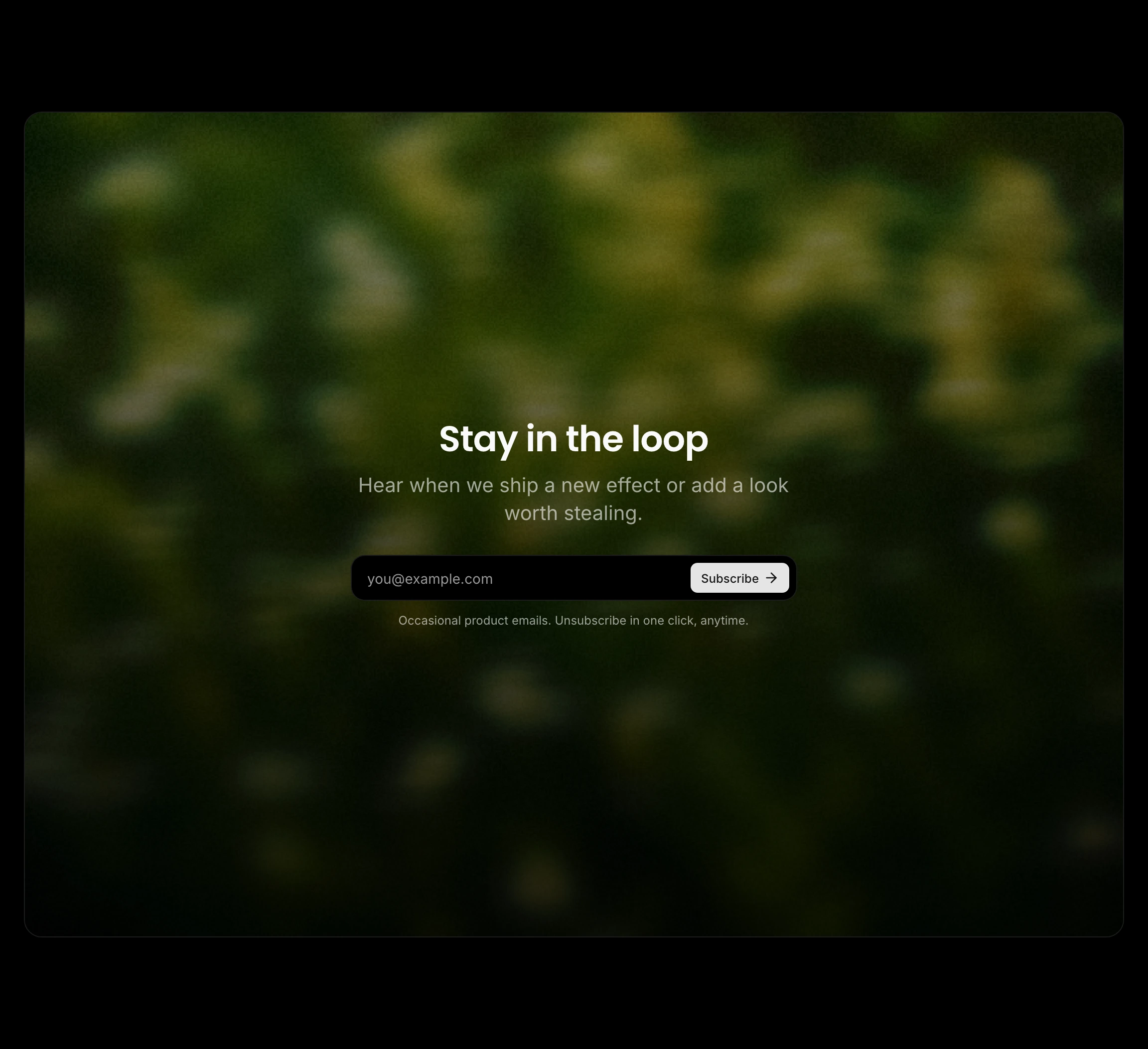 Dreamy dark newsletter card with minimalist typography set against a soft-focus botanical blur.