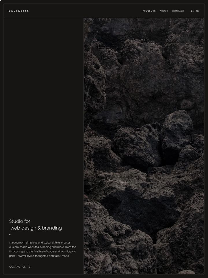 Salt and Bits homepage