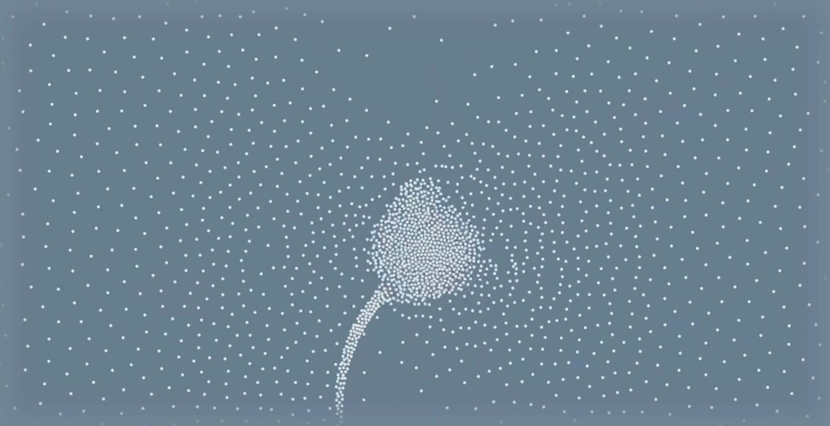 A quiet, meditative particle simulation forming a delicate organic flower against a cool slate backdrop.