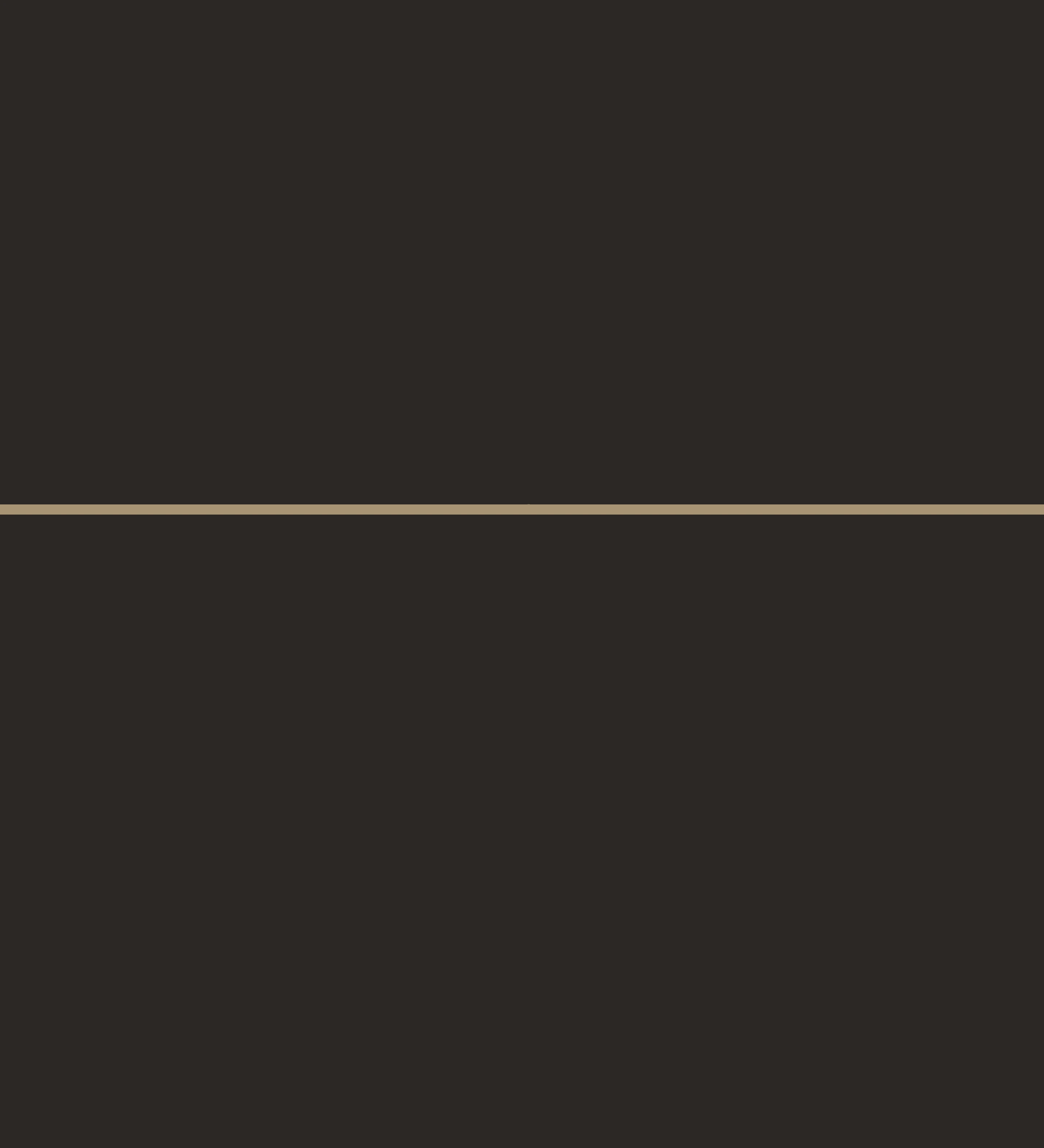 A stark and quiet field of deep espresso brown bisected by a single warm metallic hairline rule.