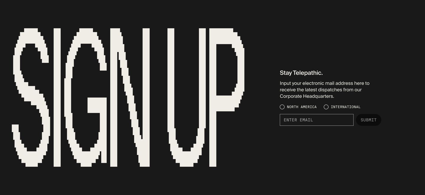 Raw retro-digital newsletter CTA pairing an enormous pixelated headline with a precise, austere mono input form.