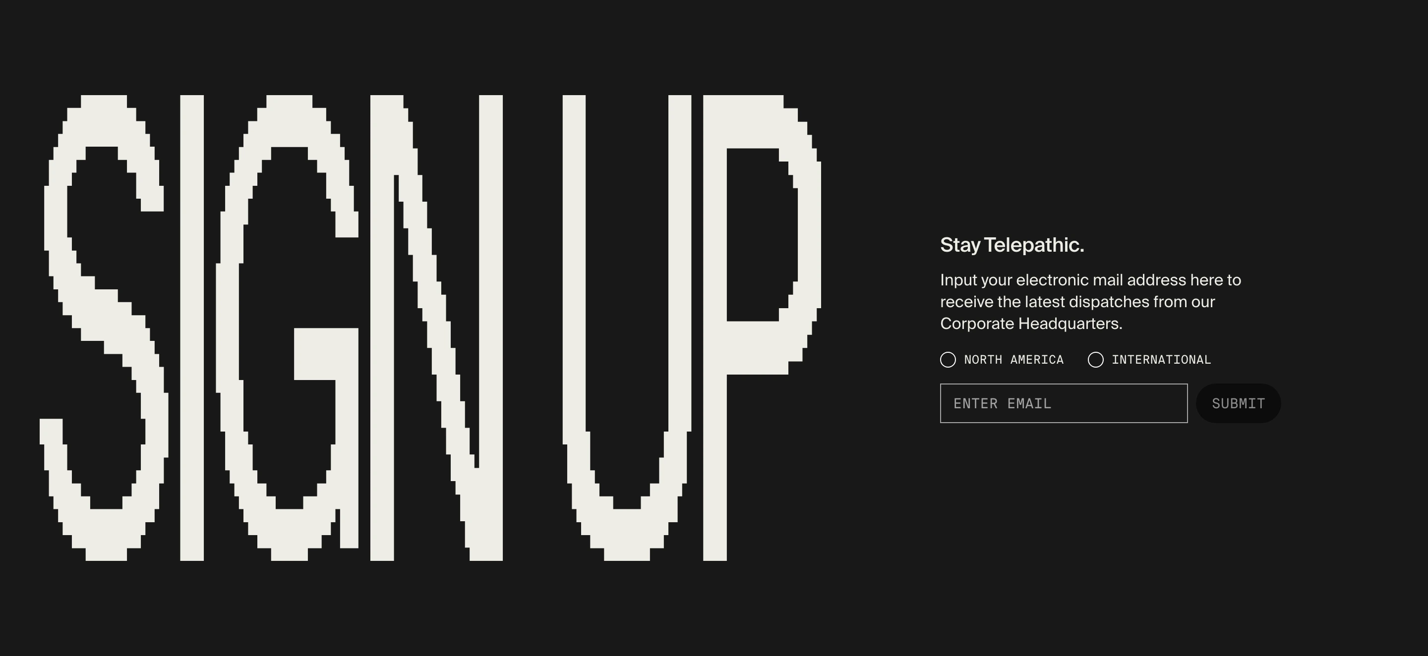 Raw retro-digital newsletter CTA pairing an enormous pixelated headline with a precise, austere mono input form.