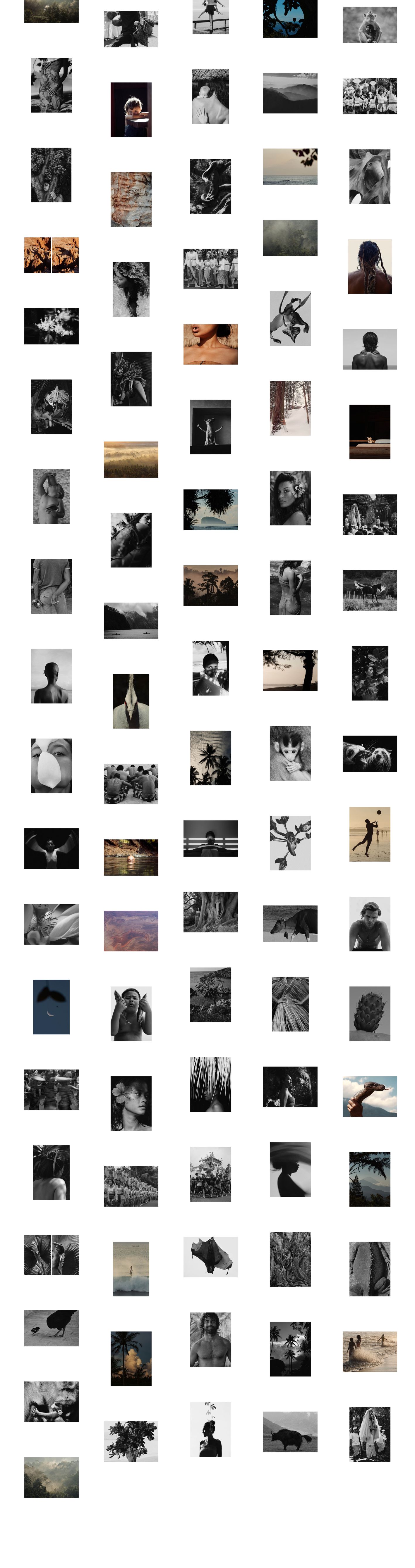 An airy, contemplative stream of editorial and nature photography scattered rhythmically across a stark white expanse.